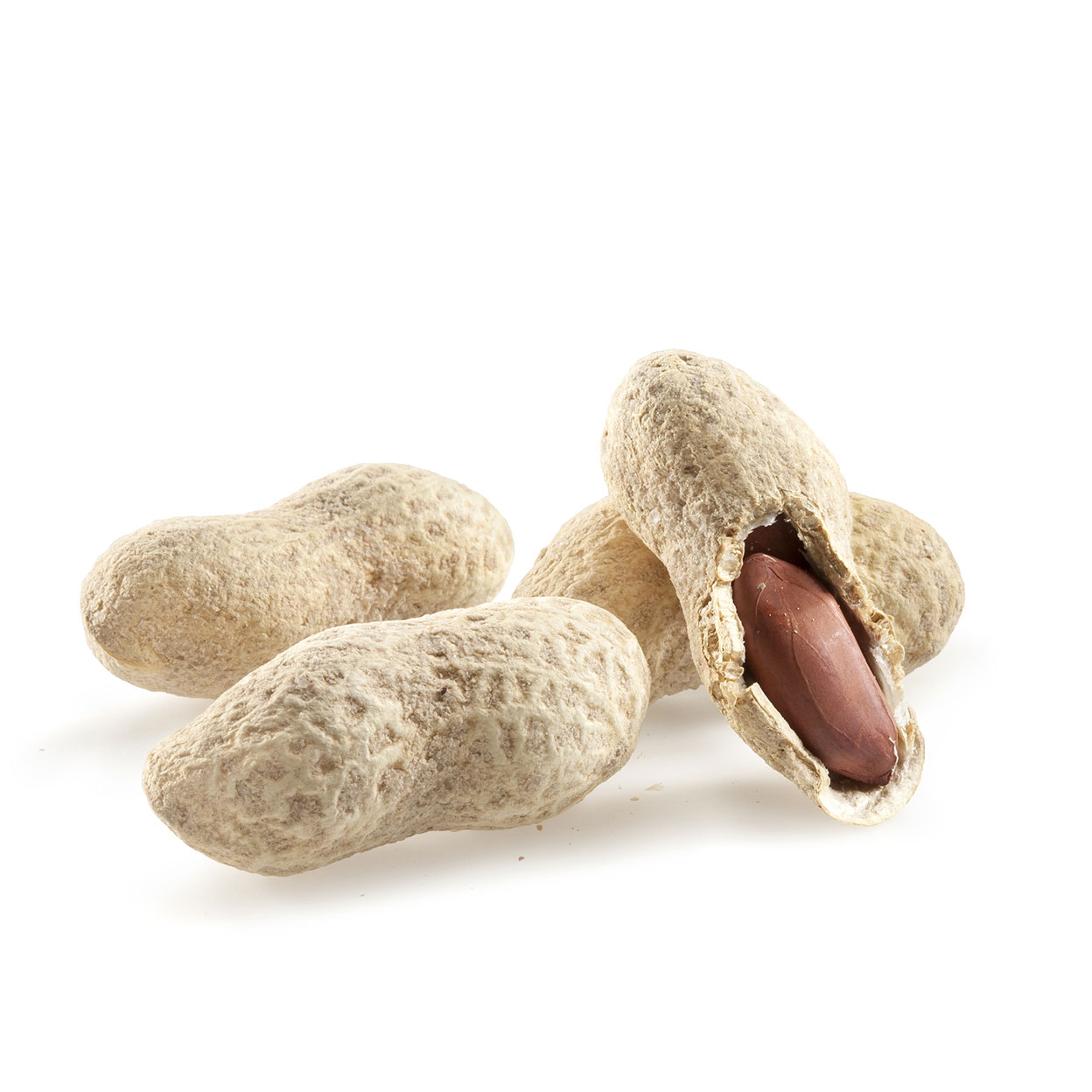 ΦΛΟΙΟ ΨΗΜΕΝΟ ΧΩΡΙΣ ΑΛΑΤΙ sqr ΦΛΟΙΟ ΨΗΜΕΝΟ ΧΩΡΙΣ ΑΛΑΤΙ sqr